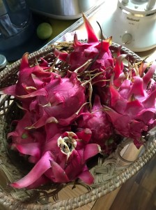 港北区 新横浜 個室の美容室you roo(ユールー)９月の思い出とメンズの方へ